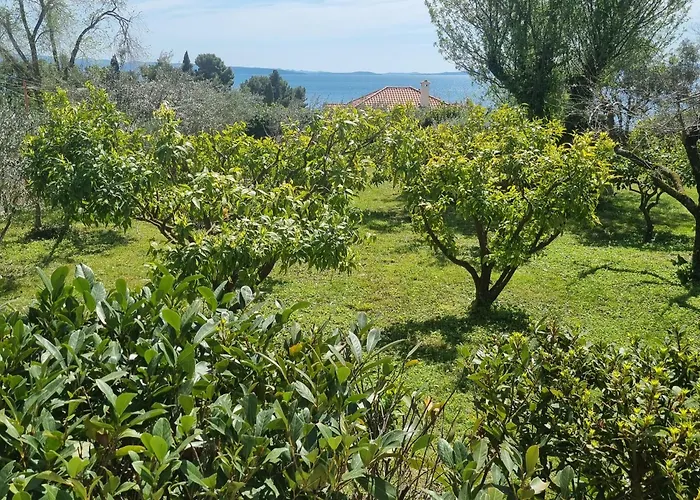 Oasis Διαμέρισμα *