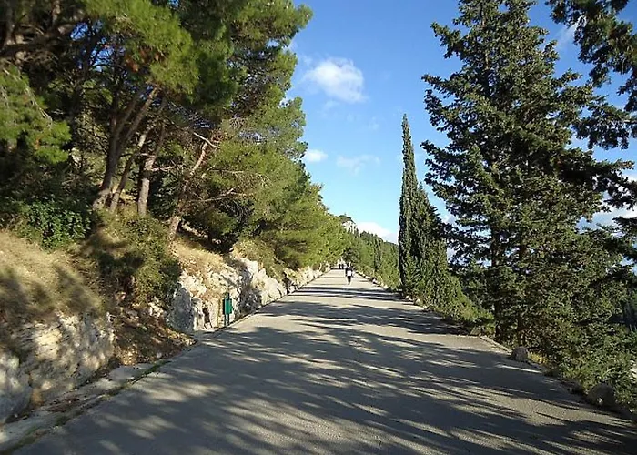 Oasis