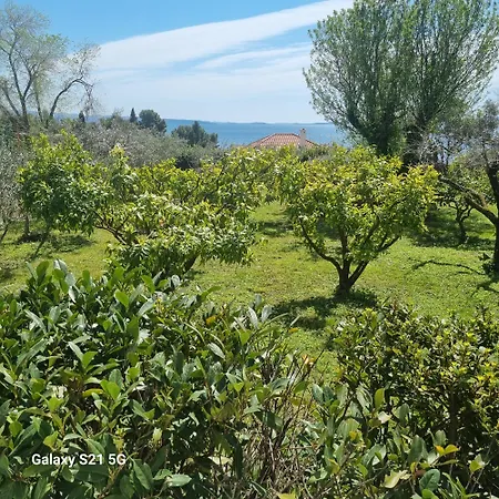 Apartment Green Oasis Apartment *
