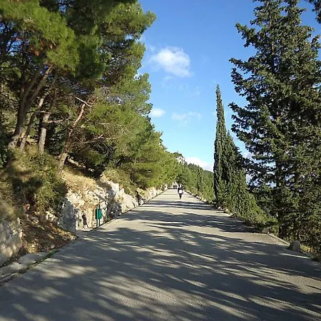 Apartment Green Oasis